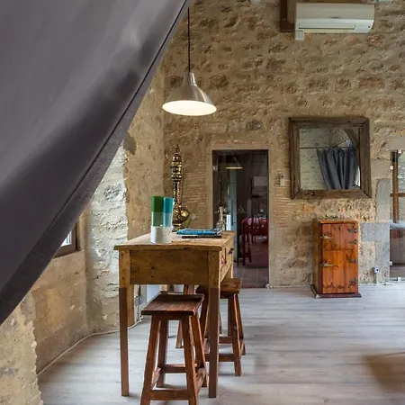 As Palau Dels Alemanys Apartment Girona